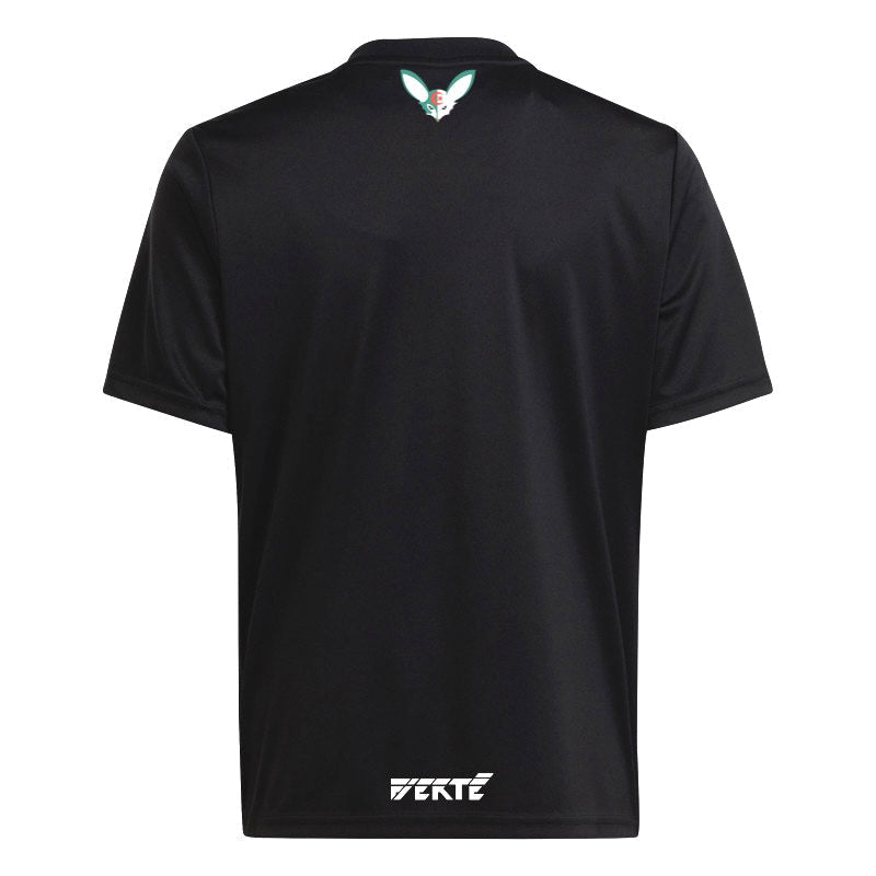 Algérie Algeria x Palestine Limited edition 2023 2024