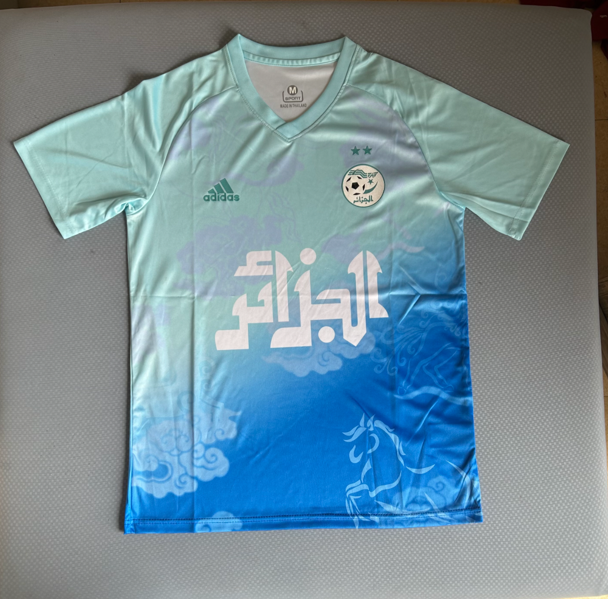 Algeria 2025/2026 Light Blue Special Edition Jersey