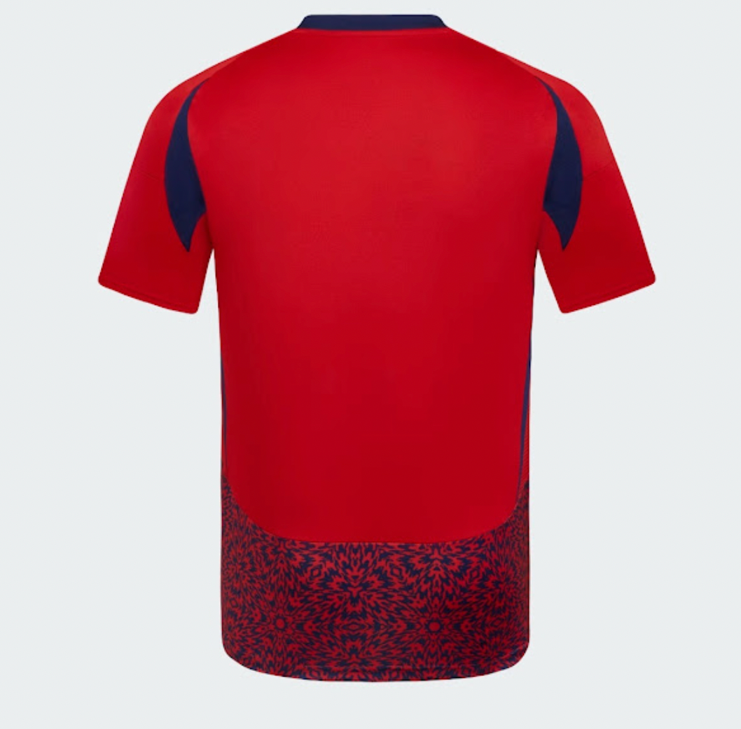 2024/2025 Costa rica home kit