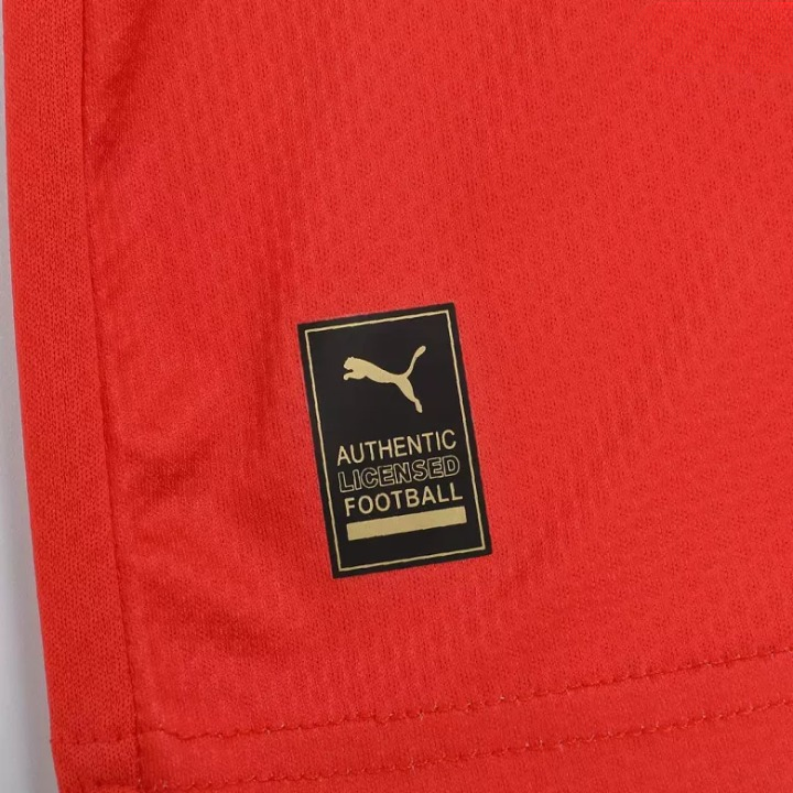 Morocco  Home Jersey 2022 By Puma